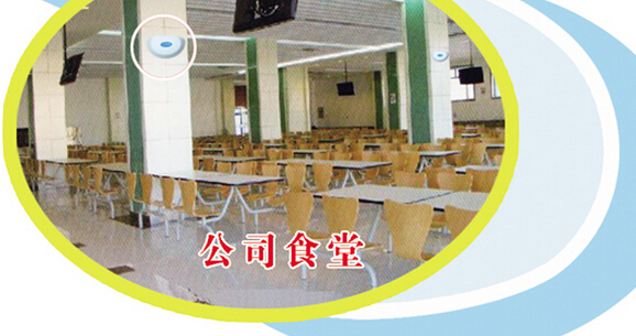 酒店如何滅蒼蠅 酒店如何滅蒼蠅