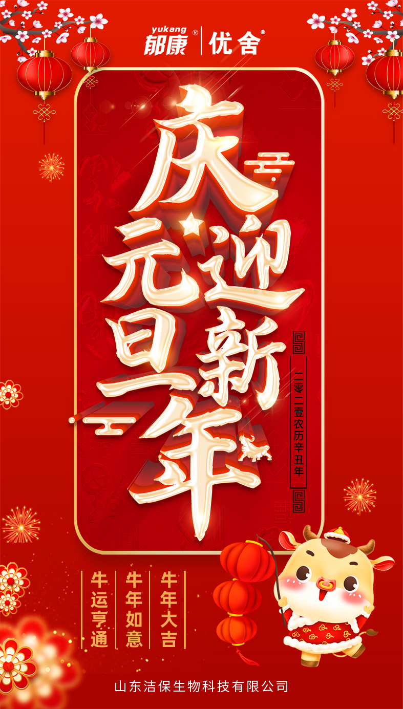 2021元旦 2021元旦